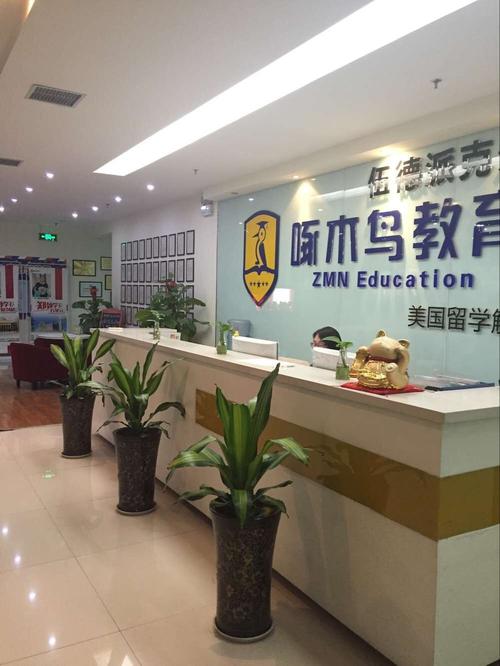 啄木鸟国际教育咨询——您的全球化教育规划伙伴